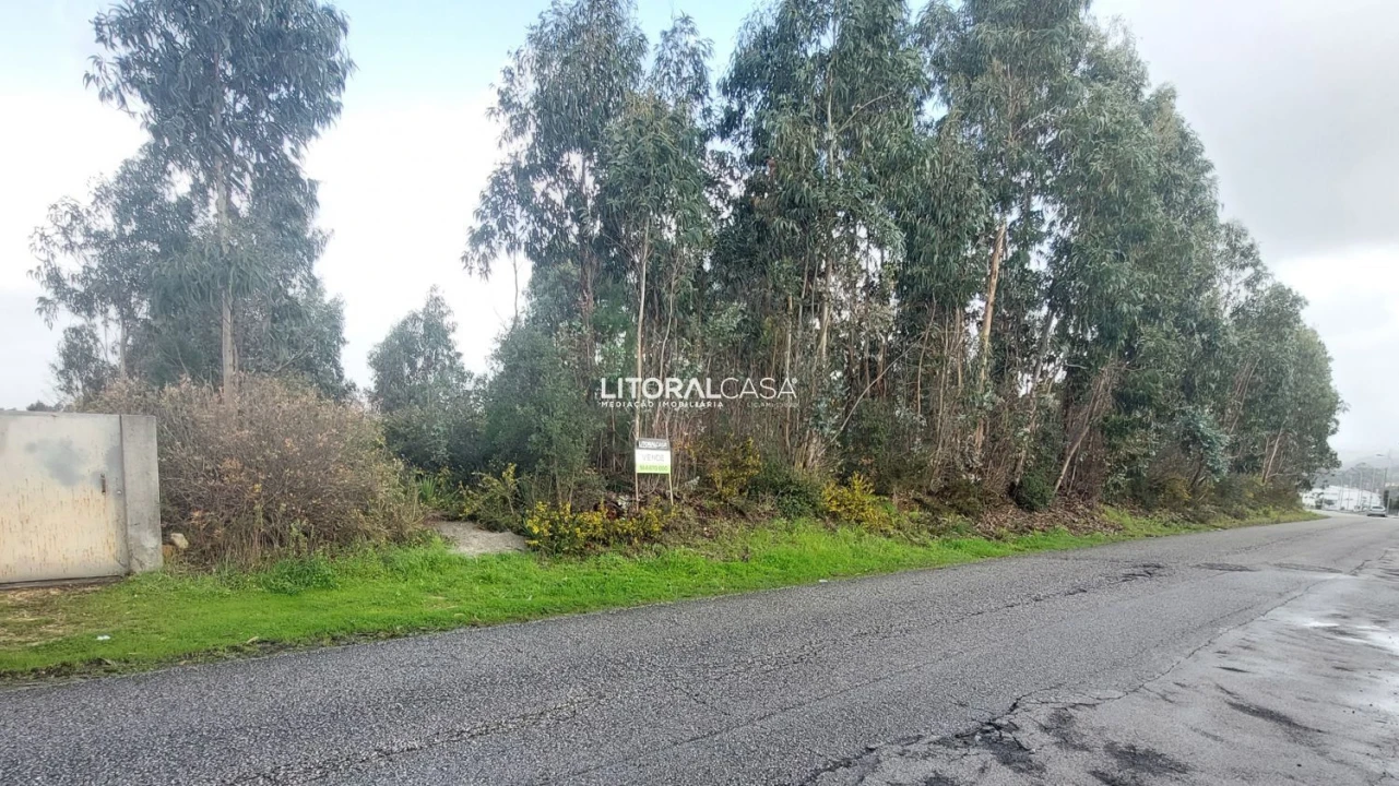 Terreno para Venda em Valongo do Vouga Foto 3