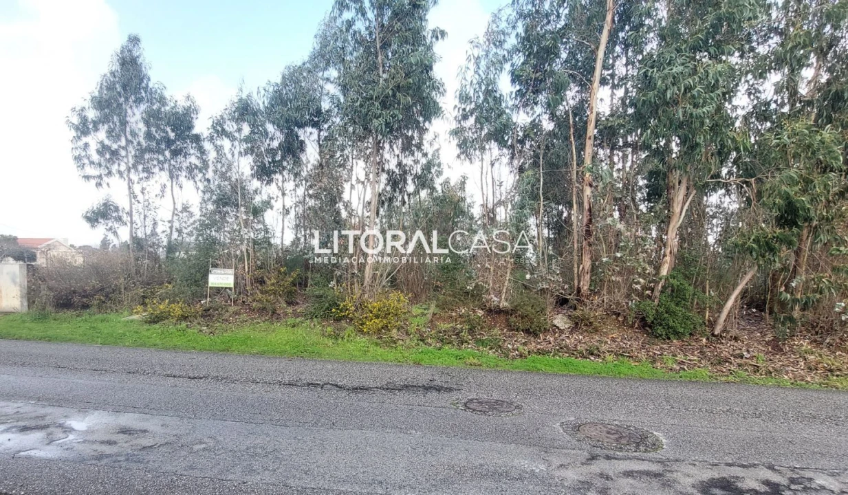 Terreno para Venda em Valongo do Vouga Foto 1