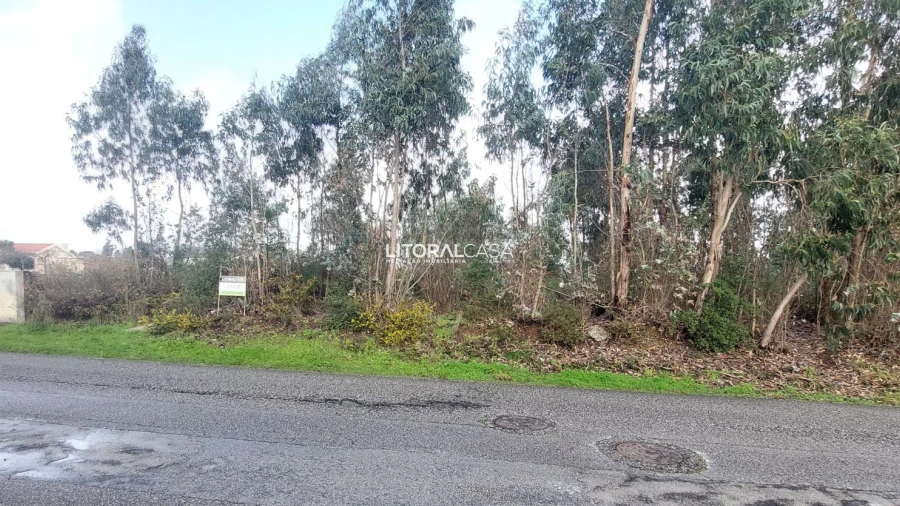 Terreno para Venda em Valongo do Vouga