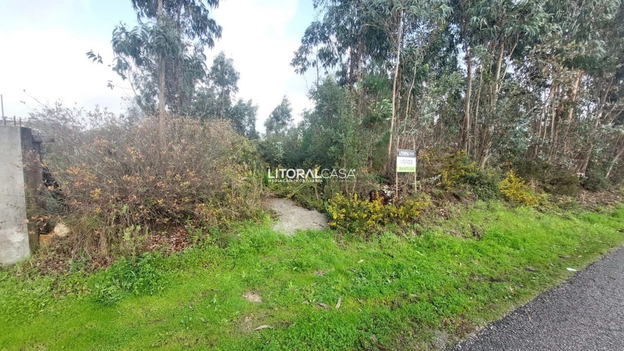 Terreno para Venda em Valongo do Vouga Foto 5