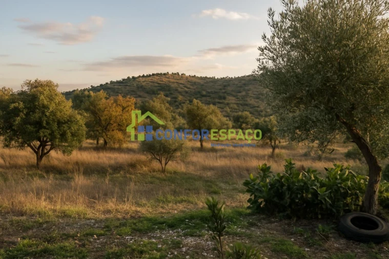 Quinta T2 para Venda em Castelo Branco Foto 26