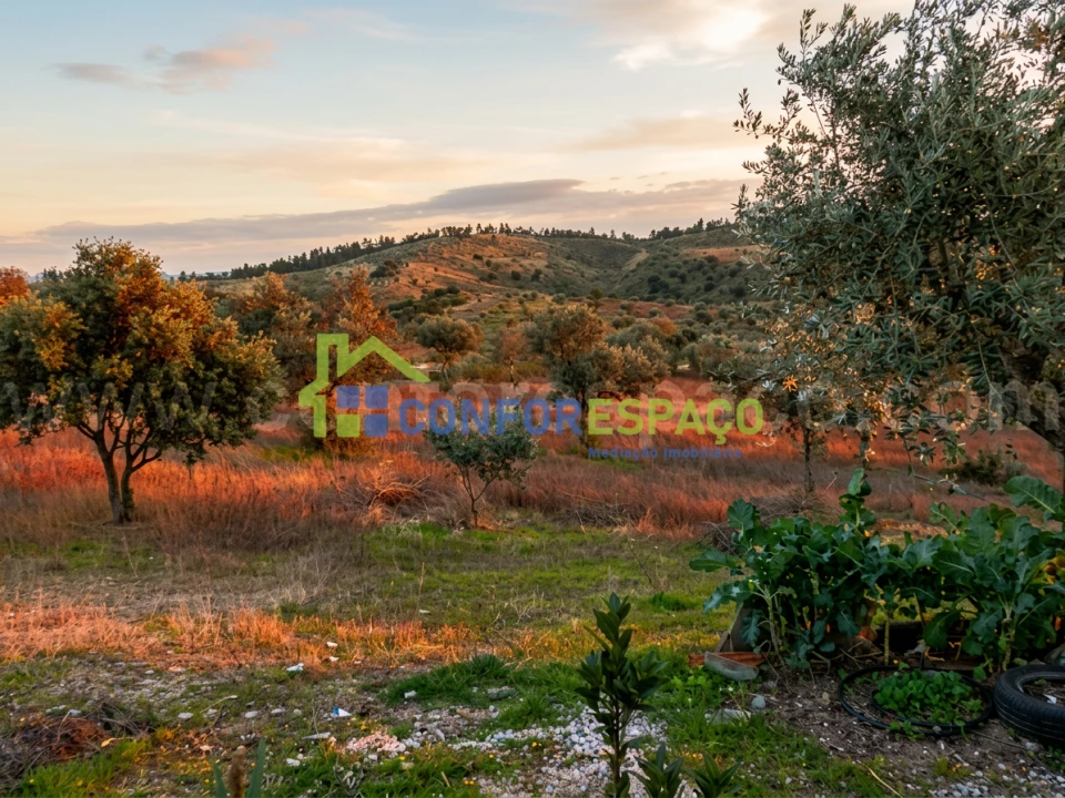 Quinta T2 para Venda em Castelo Branco Foto 27