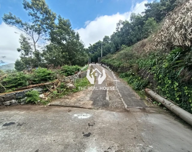 Moradia T2 para Venda em Camacha Foto 6