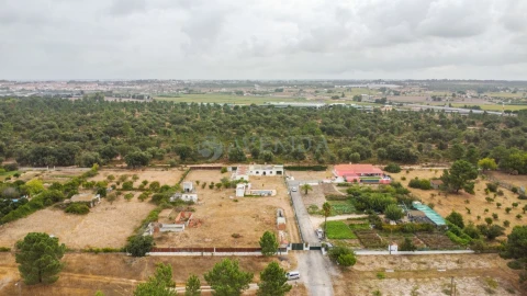 Terreno para Venda em Alhos Vedros