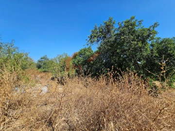Moradia T5 para Venda em Loule (São Clemente)