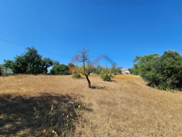 Moradia T5 para Venda em Loule (São Clemente)