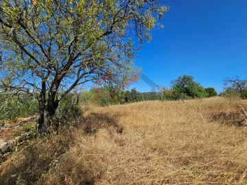 Moradia T5 para Venda em Loule (São Clemente)
