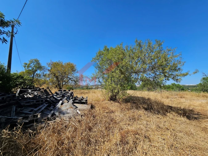 Moradia T5 para Venda em Loule (São Clemente) Foto 5