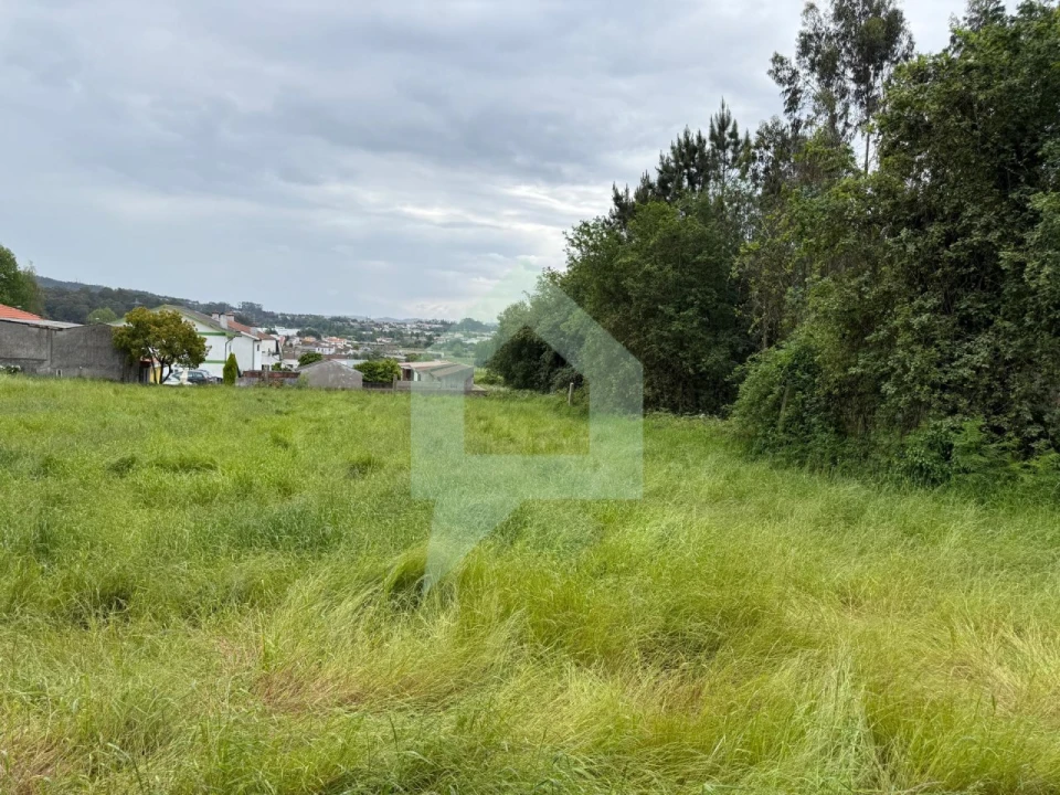 Terreno para Venda em São Pedro Fins Foto 5