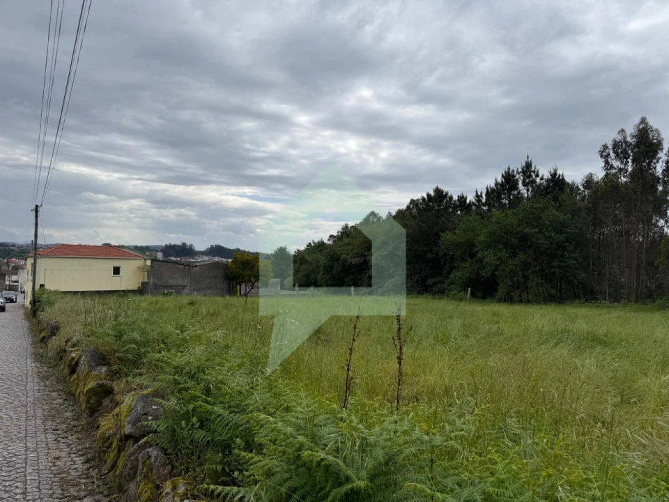 Terreno para Venda em São Pedro Fins Foto 8