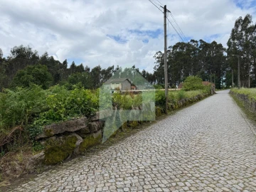 Terreno para Venda em São Pedro Fins