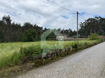 Terreno para Venda em São Pedro Fins