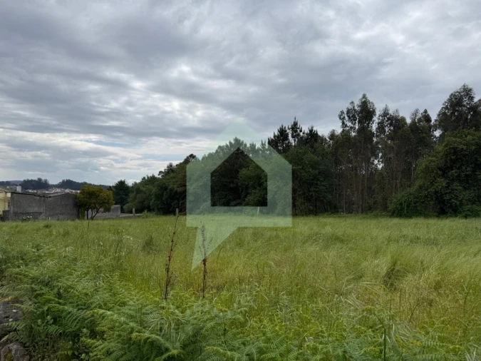 Terreno para Venda em São Pedro Fins Foto 7