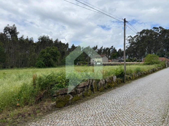 Terreno para Venda em São Pedro Fins Foto 11