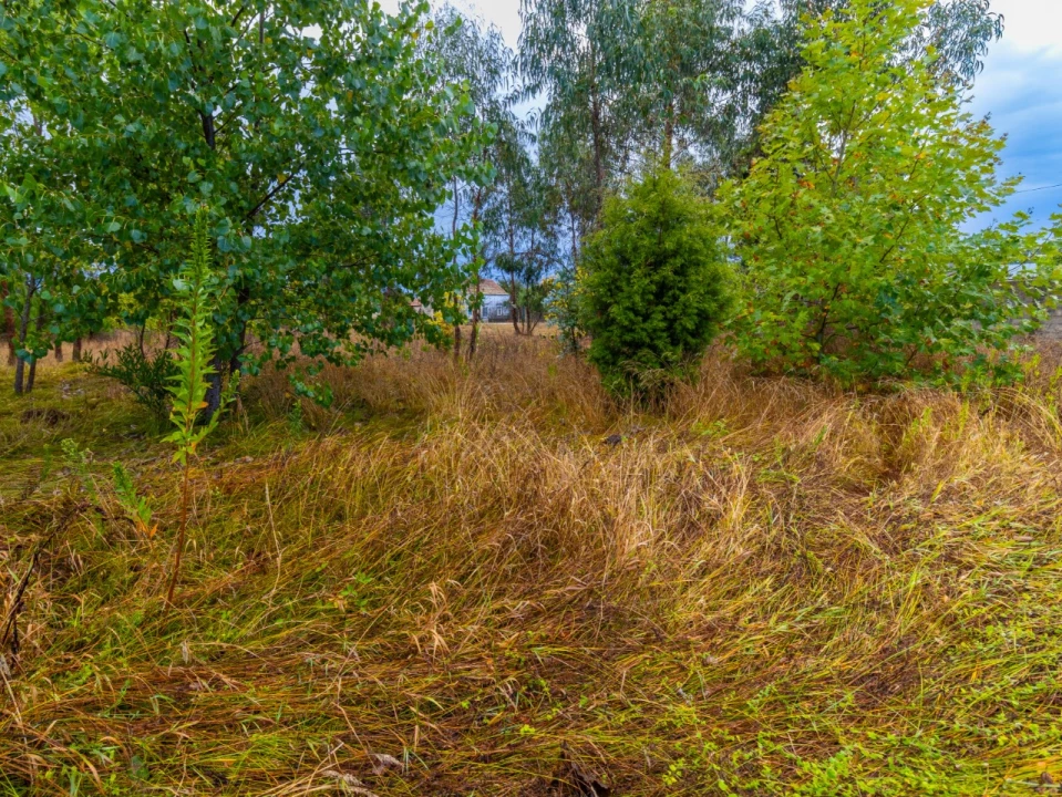 Terreno para Venda em Tocha Foto 8
