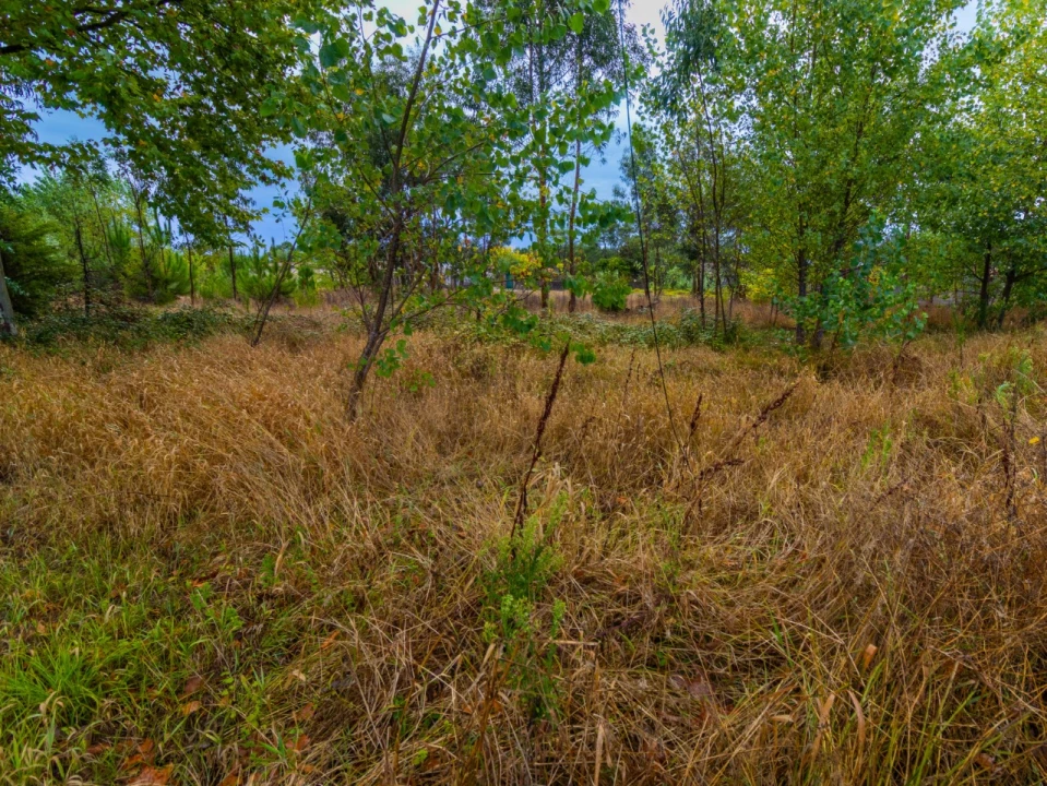 Terreno para Venda em Tocha Foto 9
