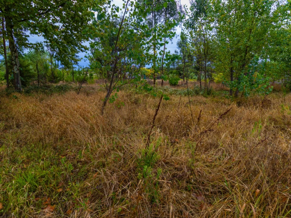 Terreno para Venda em Tocha Foto 10