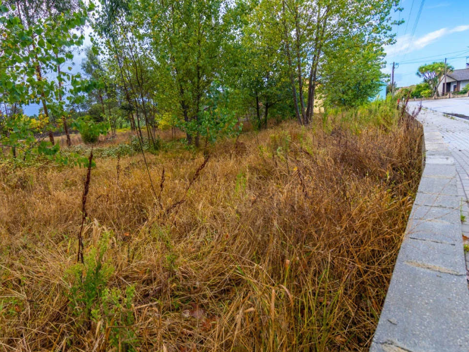 Terreno para Venda em Tocha Foto 11
