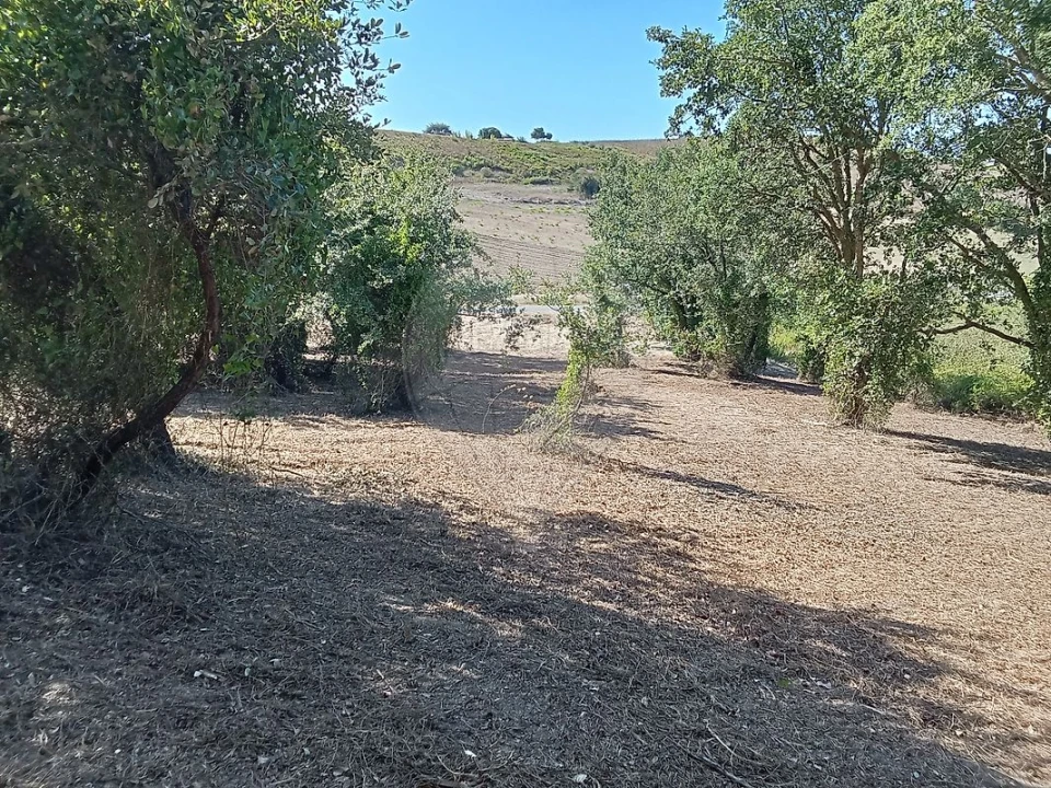 Terreno para Venda em Manique do Intendente, Vila Nova de São Pedro e Maçussa Foto 12