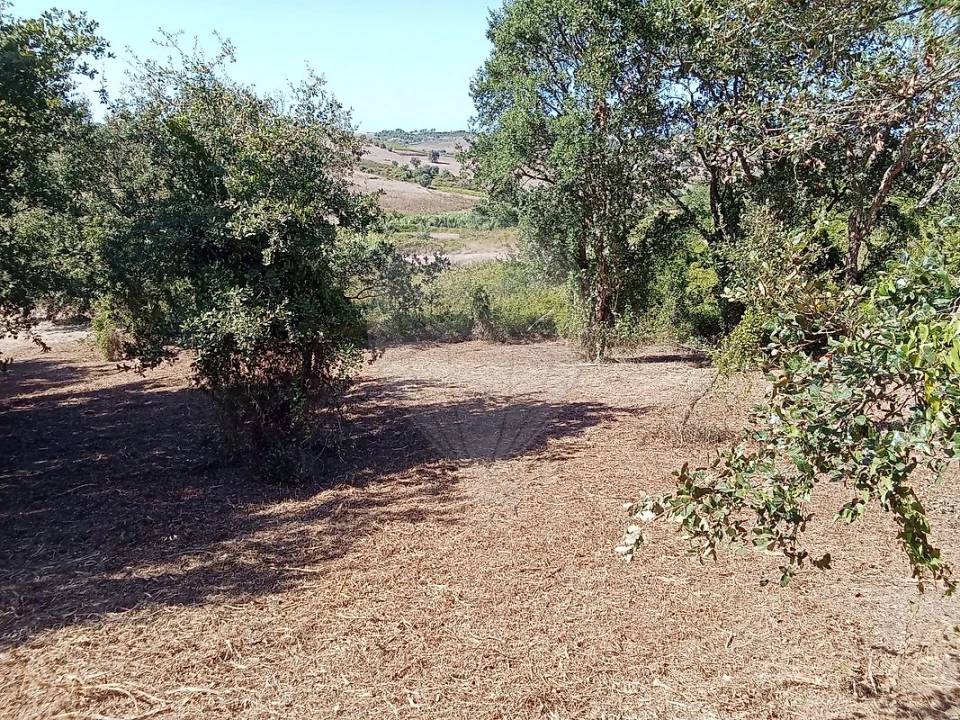 Terreno para Venda em Manique do Intendente, Vila Nova de São Pedro e Maçussa Foto 10
