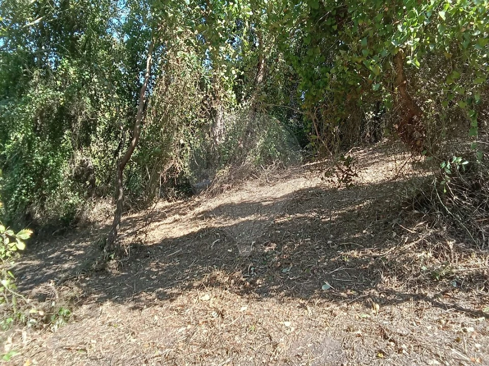 Terreno para Venda em Manique do Intendente, Vila Nova de São Pedro e Maçussa Foto 11