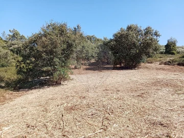 Terreno para Venda em Manique do Intendente, Vila Nova de São Pedro e Maçussa
