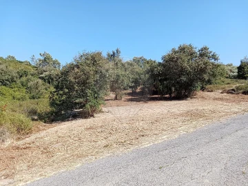 Terreno para Venda em Manique do Intendente, Vila Nova de São Pedro e Maçussa