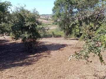 Terreno para Venda em Manique do Intendente, Vila Nova de São Pedro e Maçussa