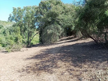 Terreno para Venda em Manique do Intendente, Vila Nova de São Pedro e Maçussa