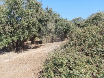 Terreno para Venda em Manique do Intendente, Vila Nova de São Pedro e Maçussa