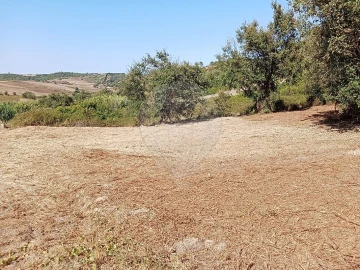 Terreno para Venda em Manique do Intendente, Vila Nova de São Pedro e Maçussa