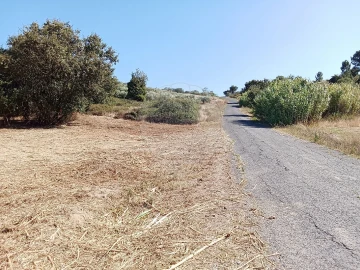 Terreno para Venda em Manique do Intendente, Vila Nova de São Pedro e Maçussa