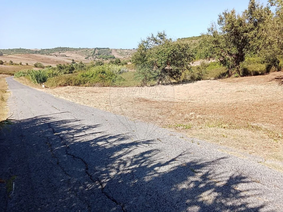 Terreno para Venda em Manique do Intendente, Vila Nova de São Pedro e Maçussa Foto 6