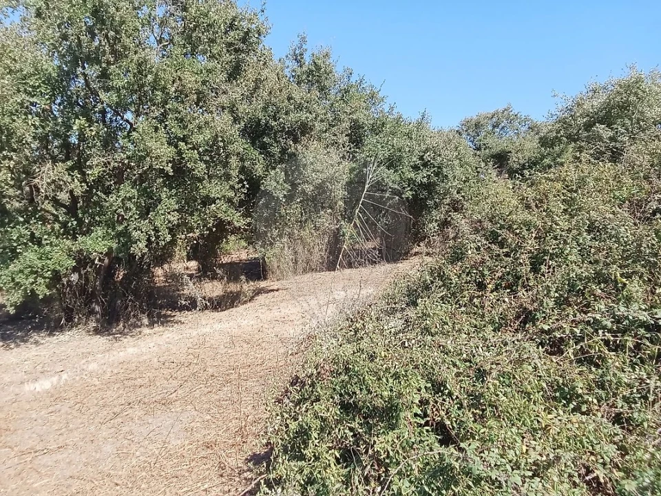 Terreno para Venda em Manique do Intendente, Vila Nova de São Pedro e Maçussa Foto 1
