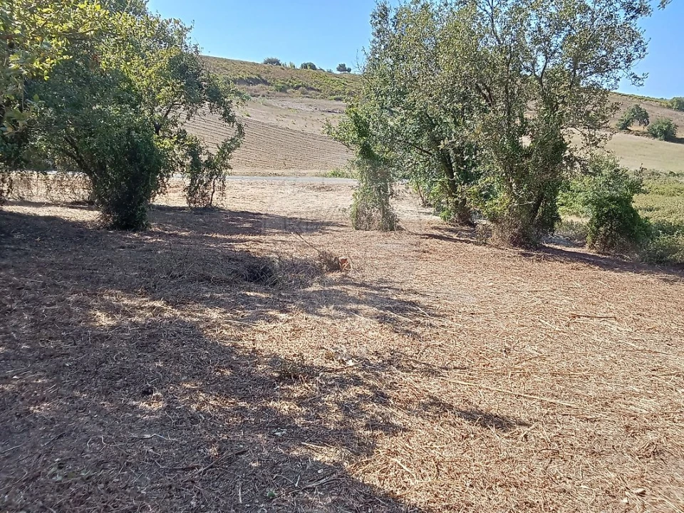 Terreno para Venda em Manique do Intendente, Vila Nova de São Pedro e Maçussa Foto 7