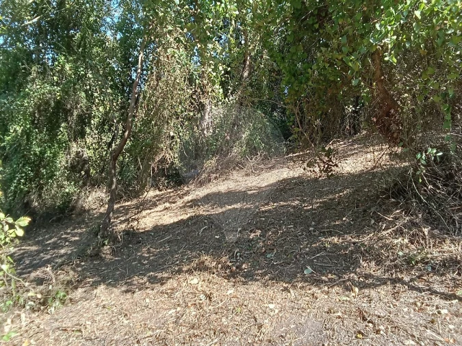 Terreno para Venda em Manique do Intendente, Vila Nova de São Pedro e Maçussa Foto 11