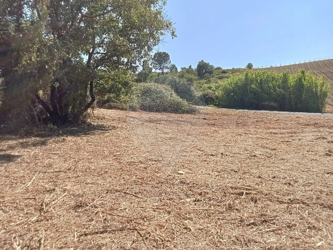 Terreno para Venda em Manique do Intendente, Vila Nova de São Pedro e Maçussa Foto 14