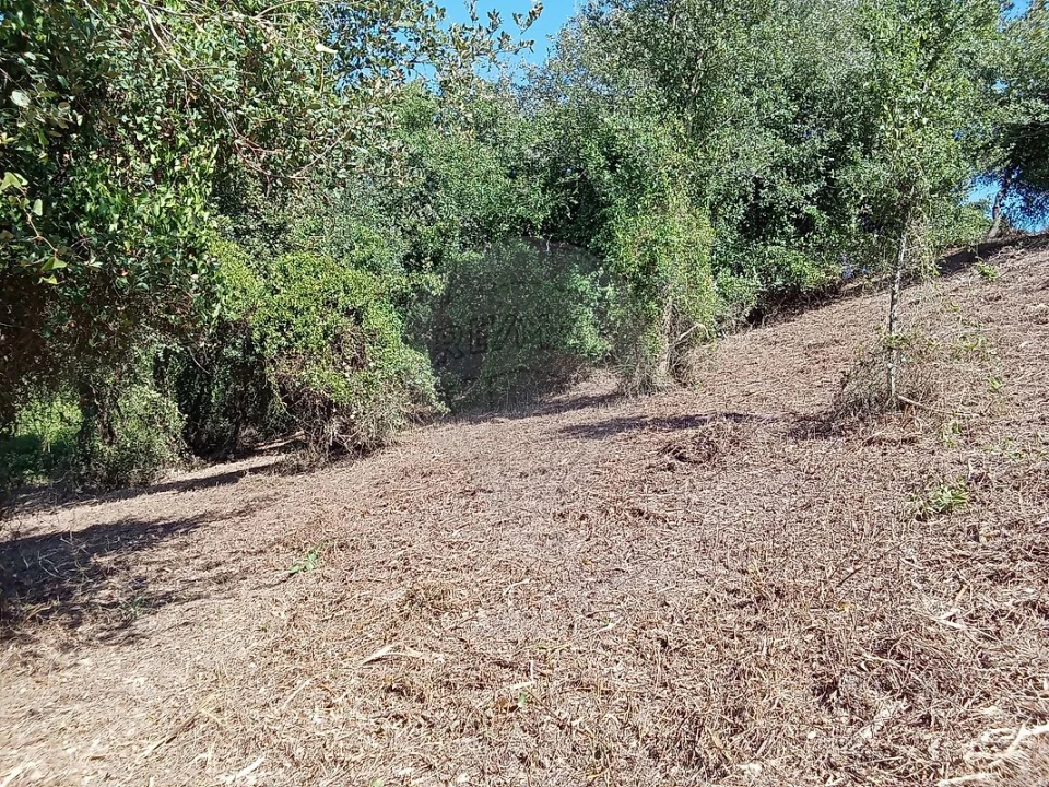 Terreno para Venda em Manique do Intendente, Vila Nova de São Pedro e Maçussa Foto 9