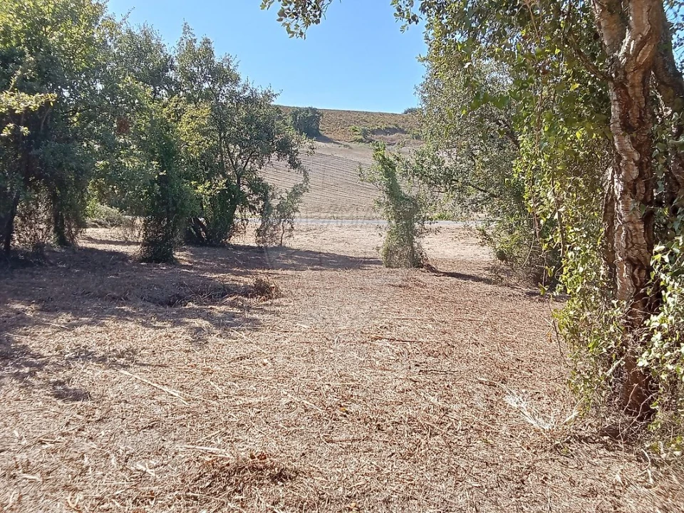 Terreno para Venda em Manique do Intendente, Vila Nova de São Pedro e Maçussa Foto 13