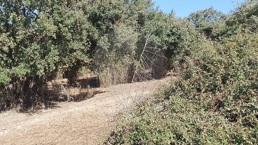 Terreno para Venda em Manique do Intendente, Vila Nova de São Pedro e Maçussa