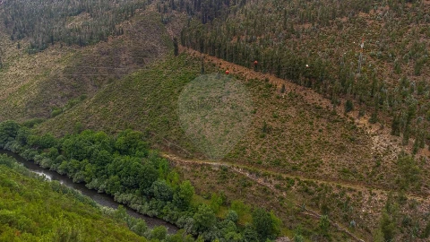 Terreno para Venda em Covelo de Paivó e Janarde
