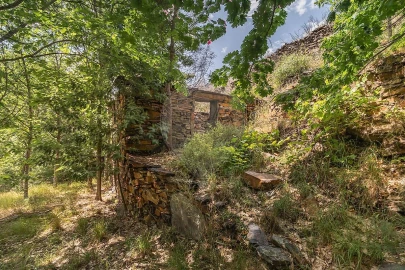 Terreno para Venda em Covelo de Paivó e Janarde