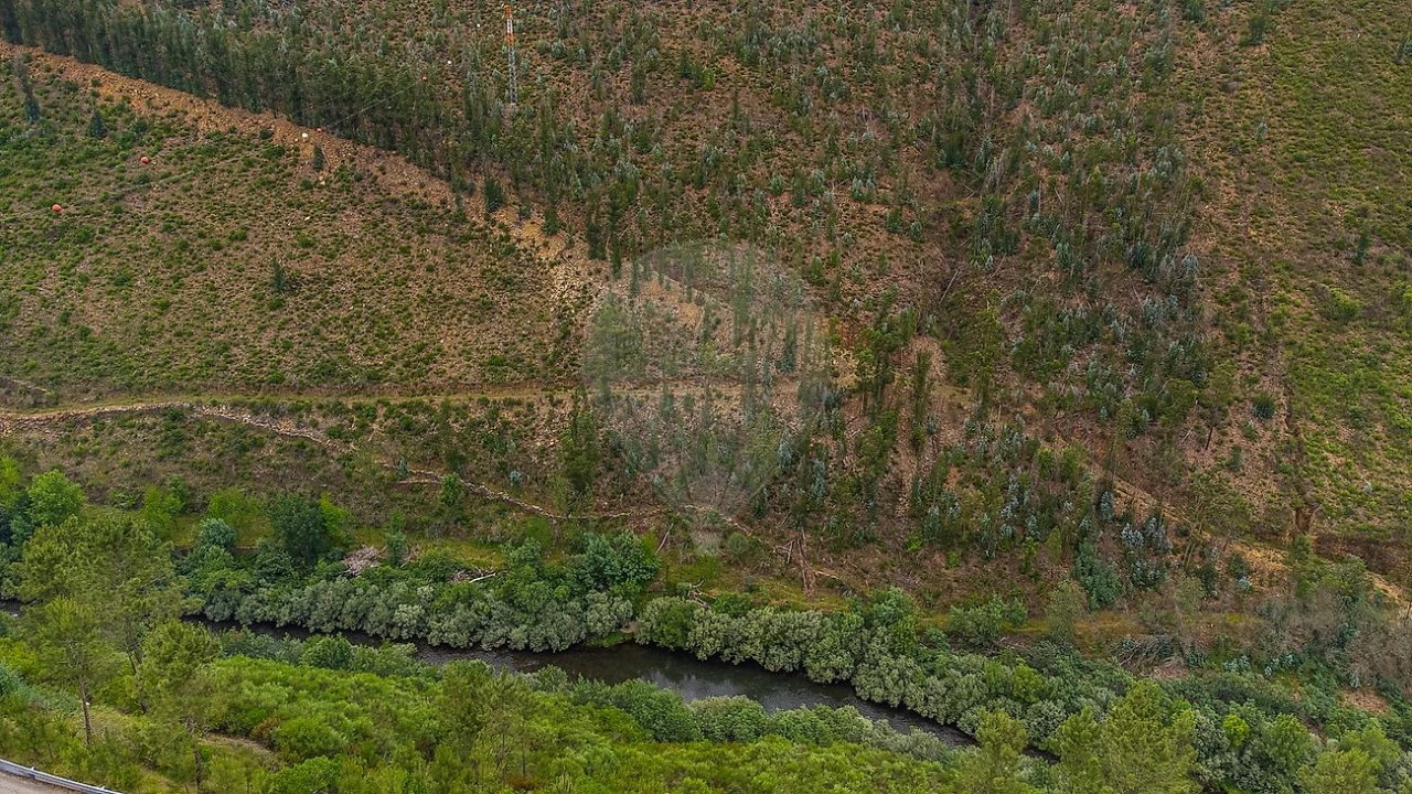 Terreno para Venda em Covelo de Paivó e Janarde Foto 3