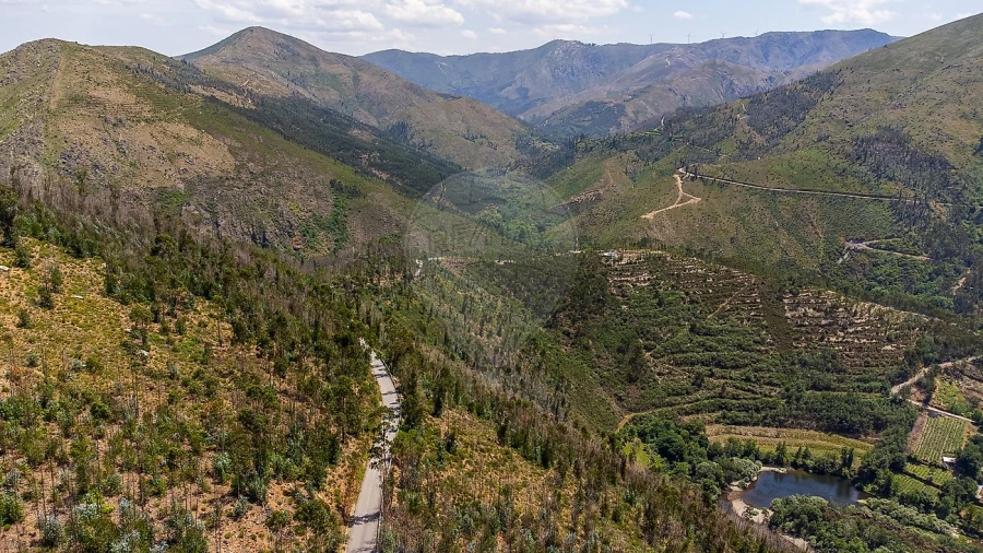 Terreno para Venda em Covelo de Paivó e Janarde Foto 5