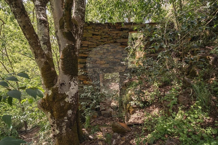 Terreno para Venda em Covelo de Paivó e Janarde Foto 9