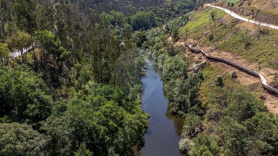 Terreno para Venda em Covelo de Paivó e Janarde Foto 4
