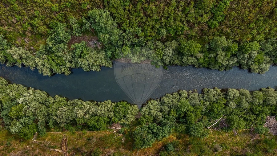 Terreno para Venda em Covelo de Paivó e Janarde Foto 8