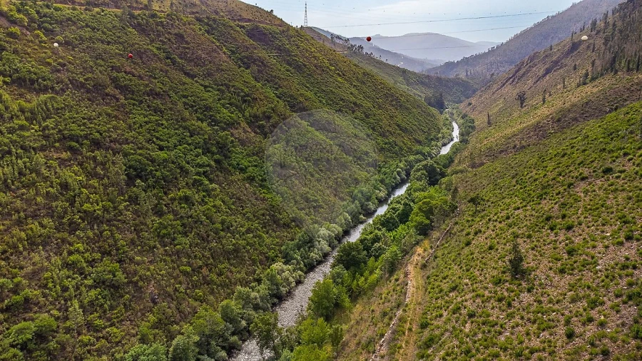 Terreno para Venda em Covelo de Paivó e Janarde Foto 6