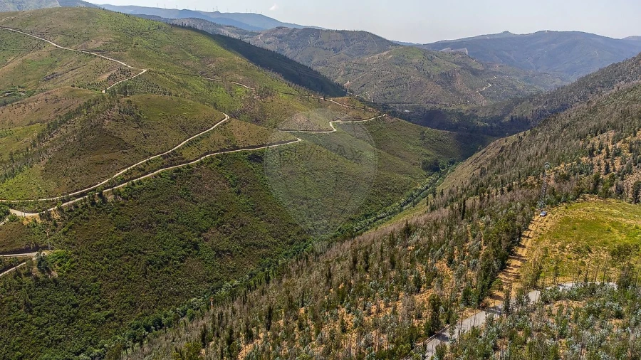Terreno para Venda em Covelo de Paivó e Janarde Foto 2