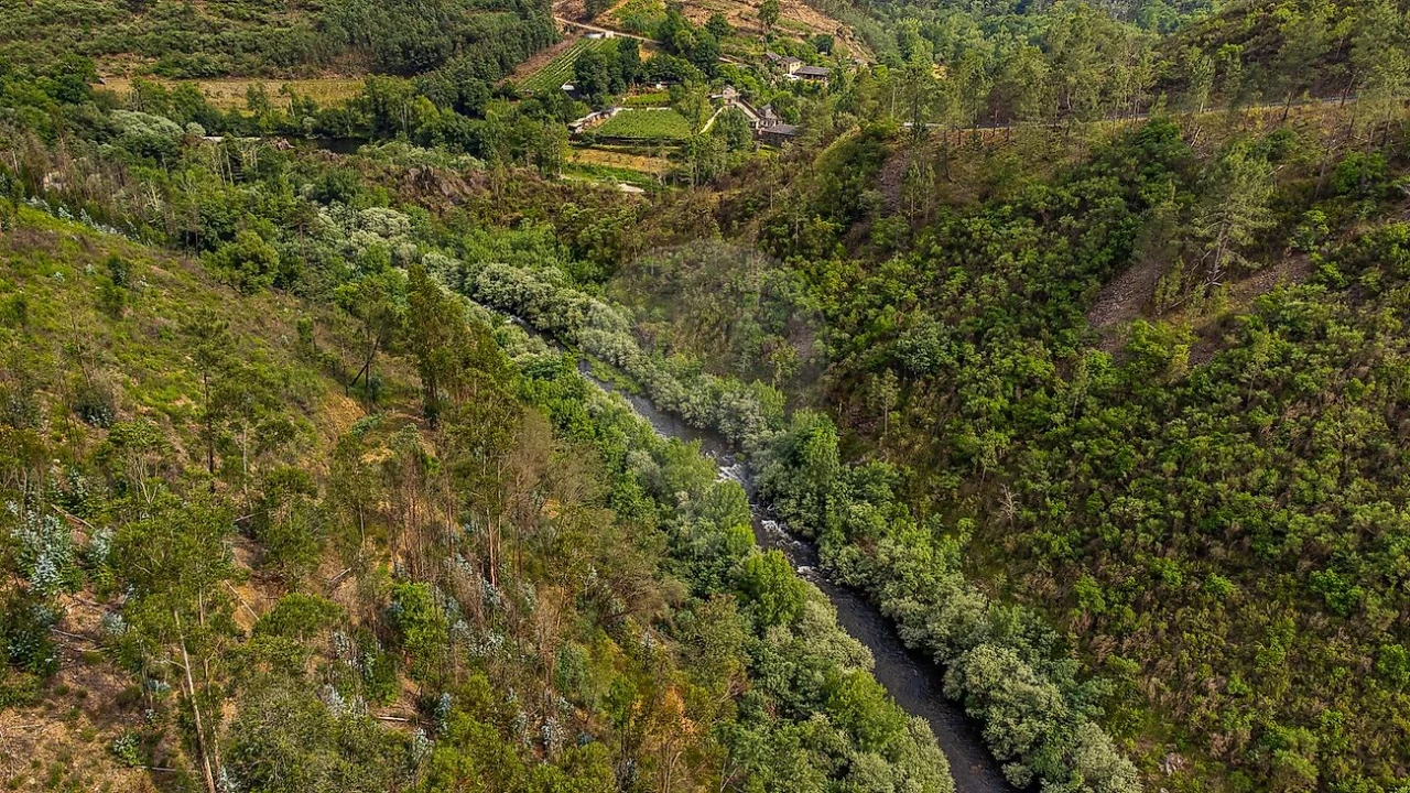 Terreno para Venda em Covelo de Paivó e Janarde Foto 7
